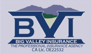 Big Valley Insurance Agency Inc - 800 Logo